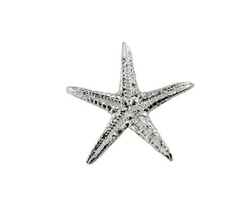 Sea Star Small